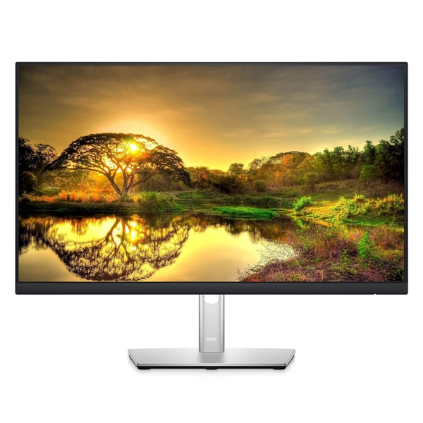 Monitores DELL P2422HE 